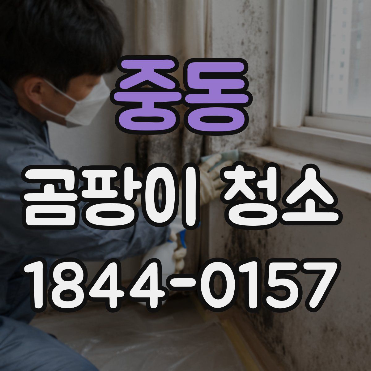중동 곰팡이 청소