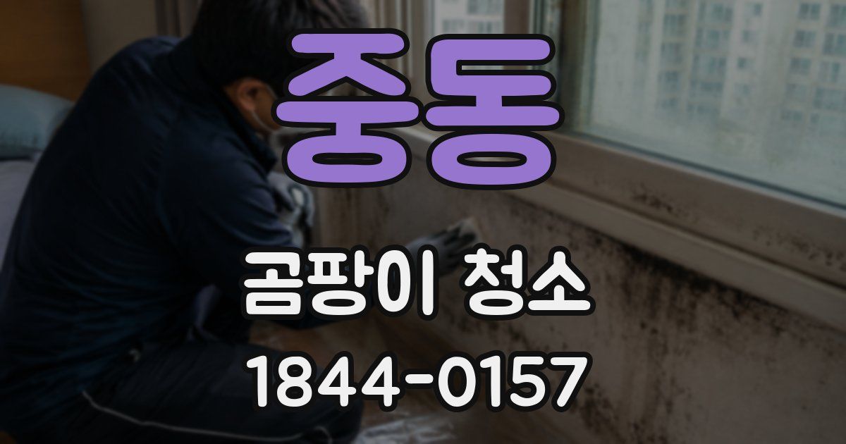 중동 곰팡이 청소