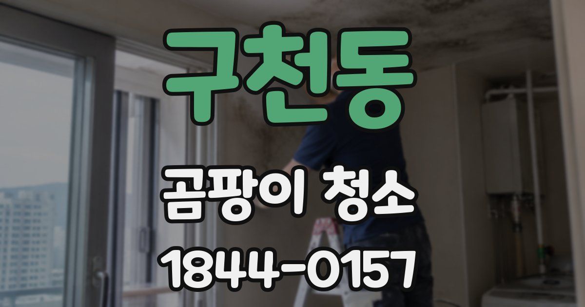 구천동 곰팡이 청소