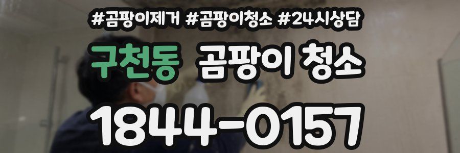구천동 곰팡이 청소