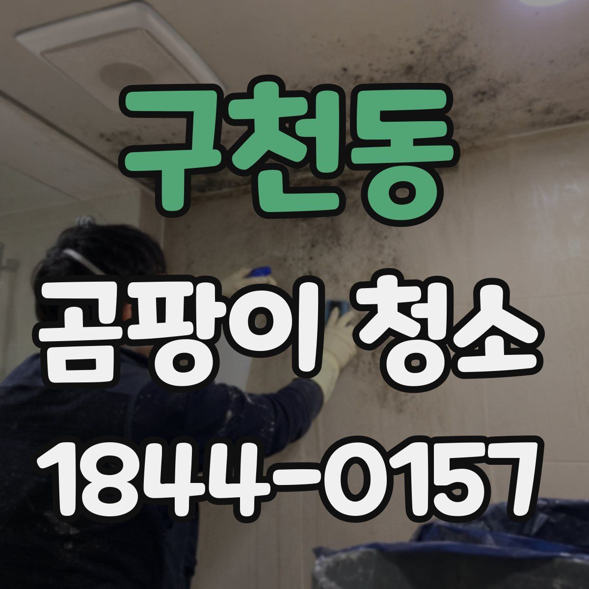 구천동 곰팡이 청소