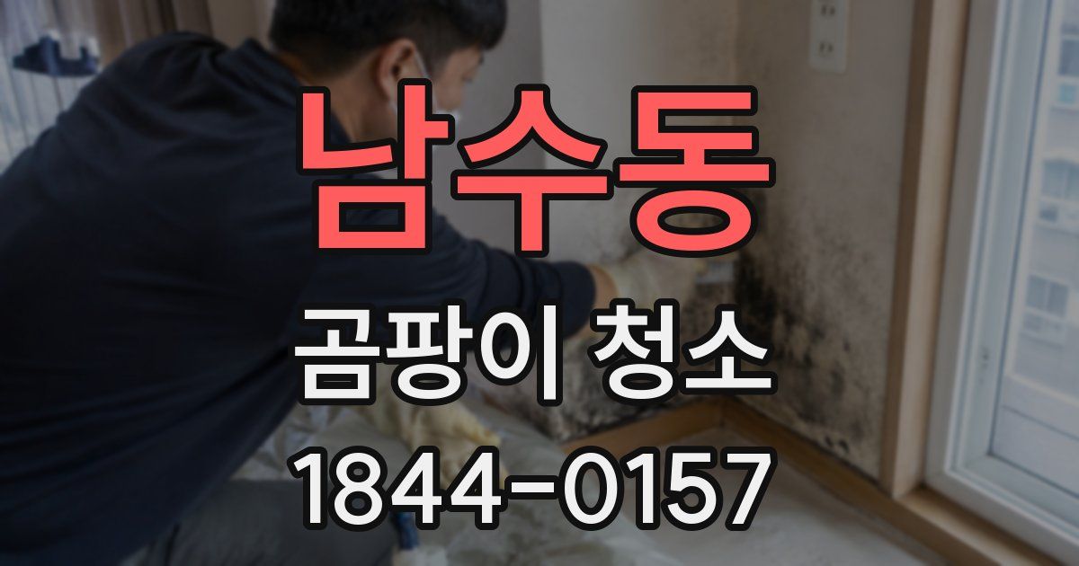 남수동 곰팡이 청소