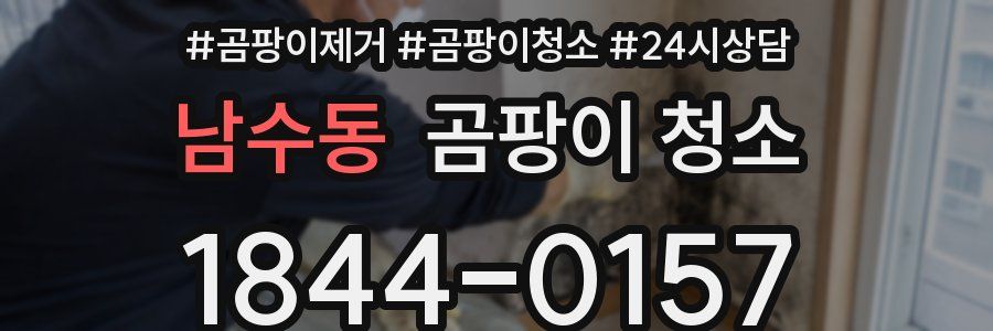 남수동 곰팡이 청소