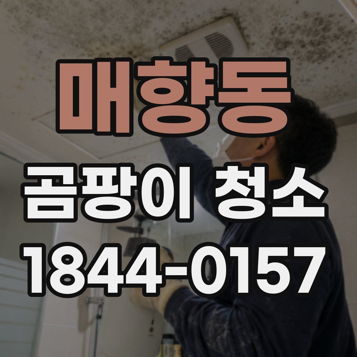 매향동 곰팡이 청소