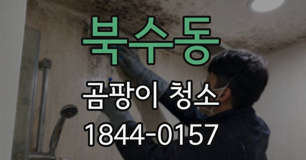북수동 곰팡이 청소