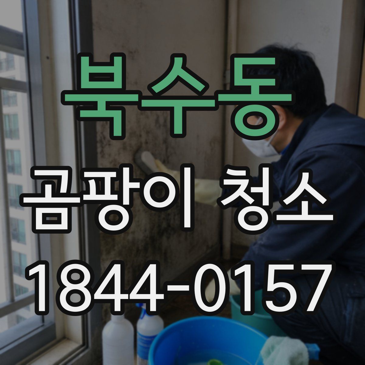 북수동 곰팡이 청소