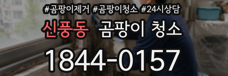 신풍동 곰팡이 청소