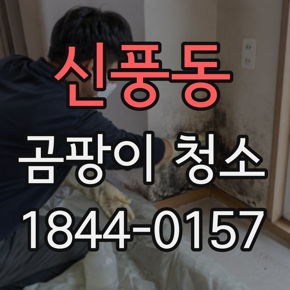 신풍동 곰팡이 청소