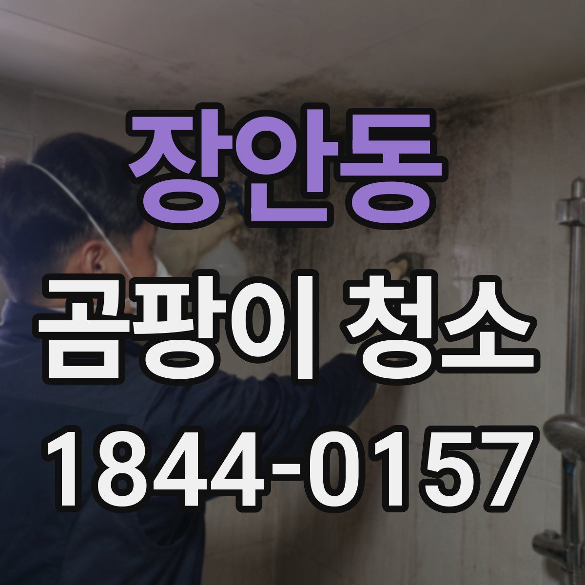 장안동 곰팡이 청소