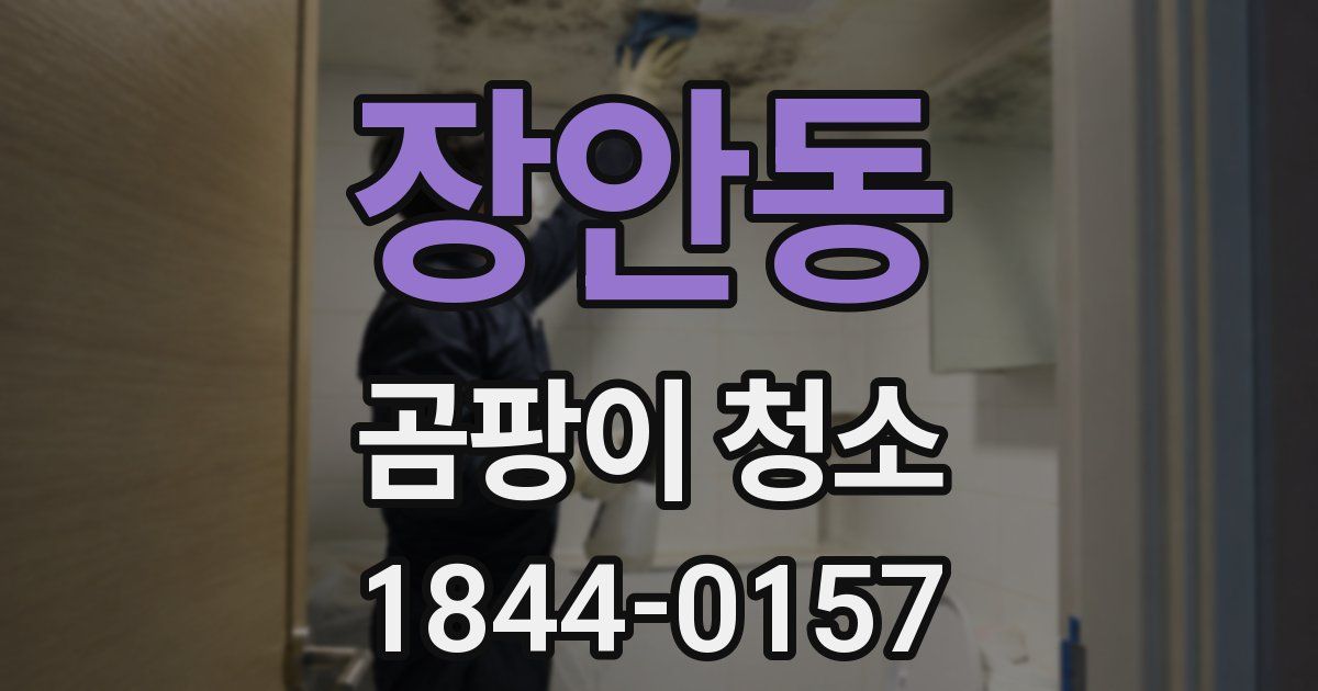 장안동 곰팡이 청소