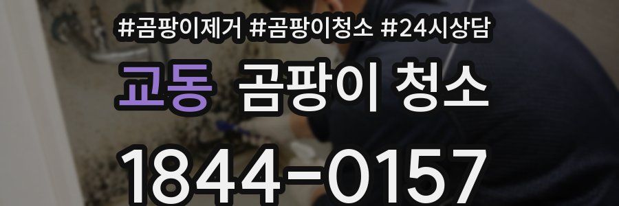 교동 곰팡이 청소