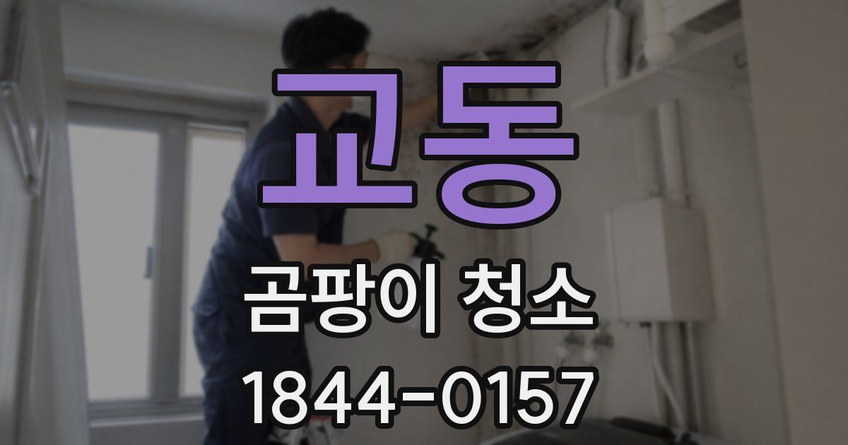 교동 곰팡이 청소