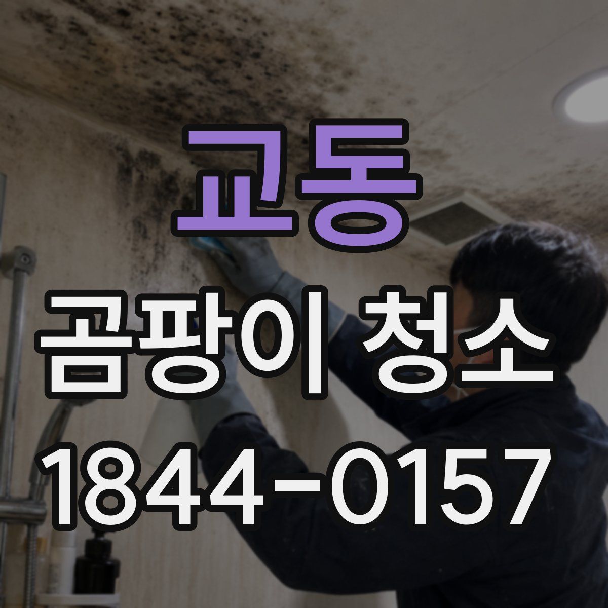 교동 곰팡이 청소