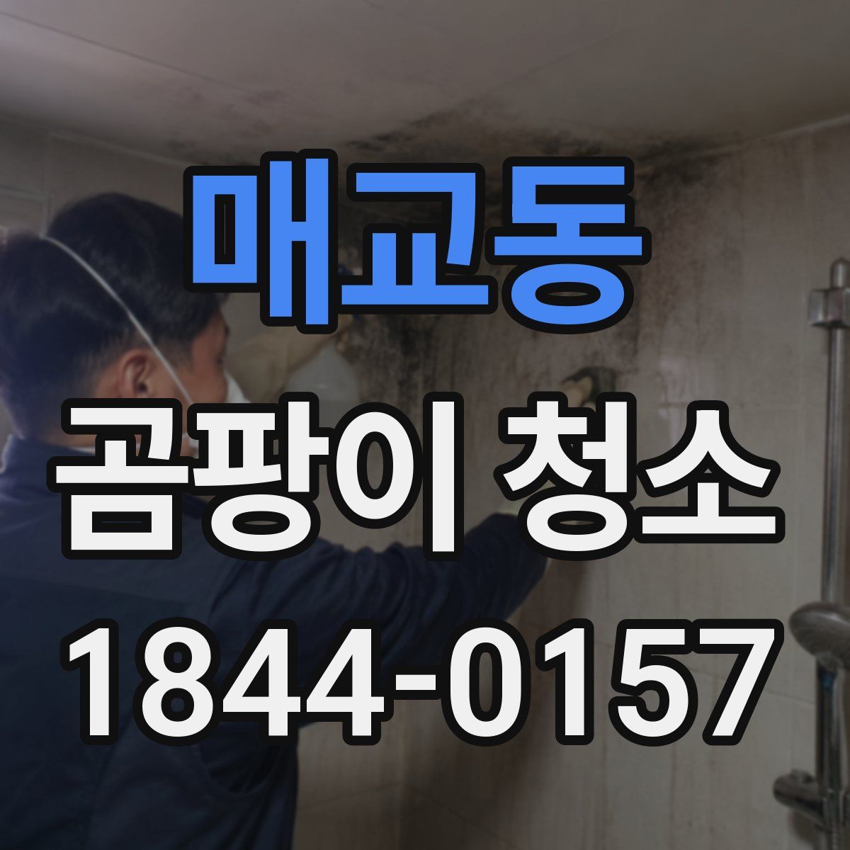 매교동 곰팡이 청소