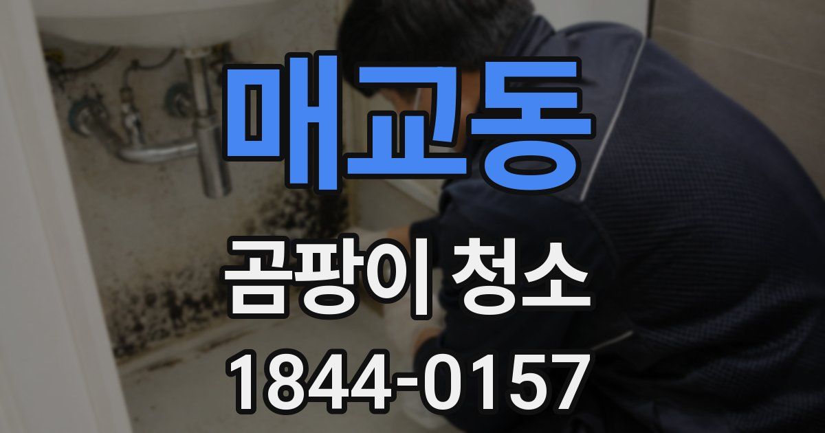 매교동 곰팡이 청소