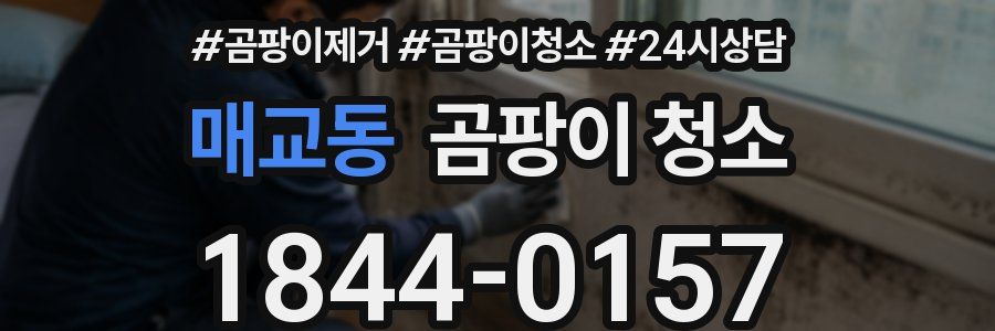 매교동 곰팡이 청소