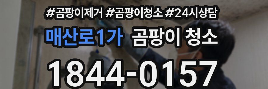 매산로1가 곰팡이 청소