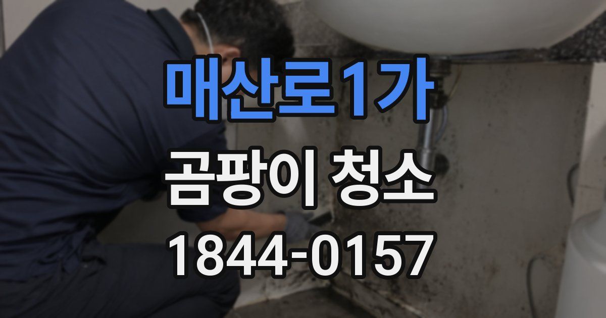 매산로1가 곰팡이 청소