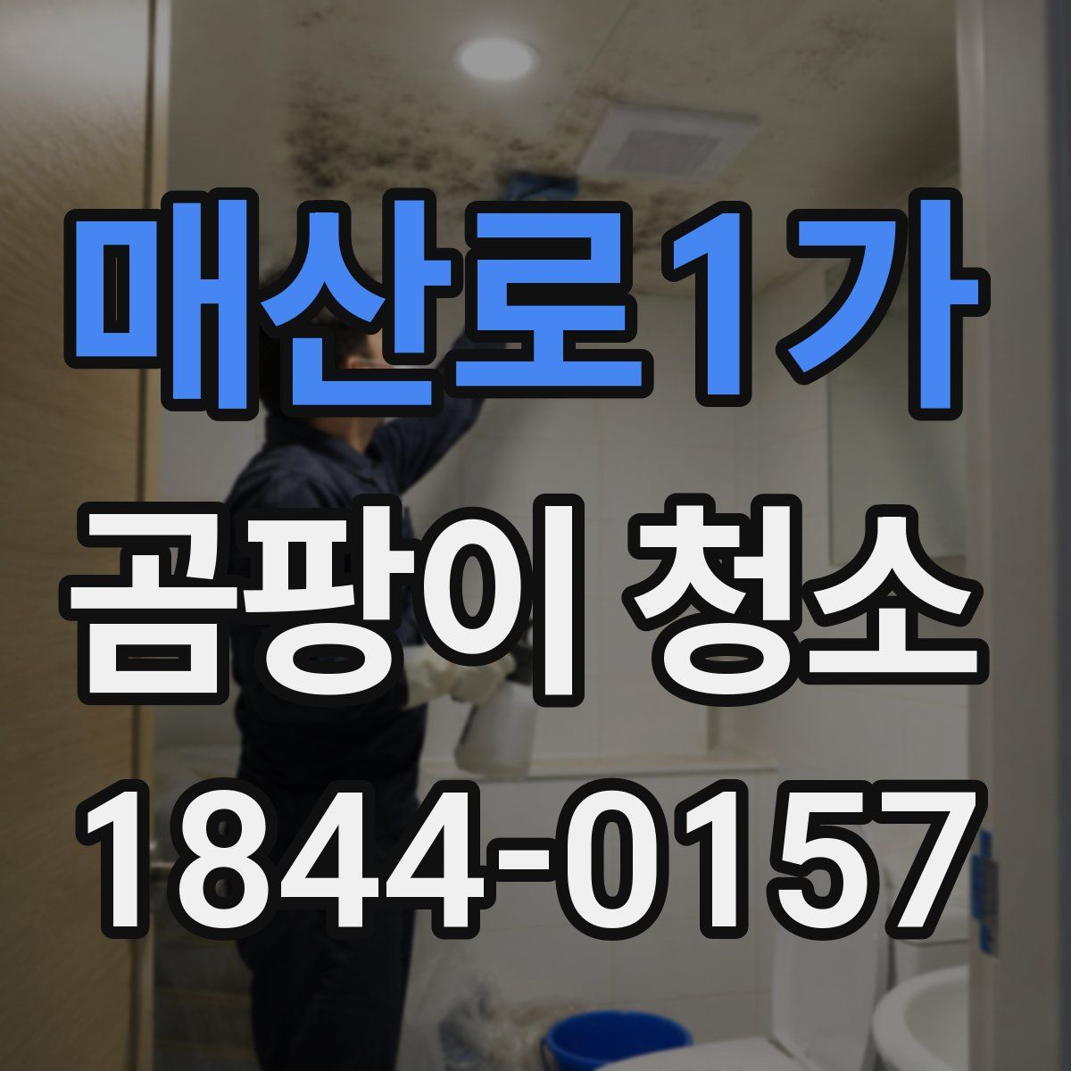 매산로1가 곰팡이 청소