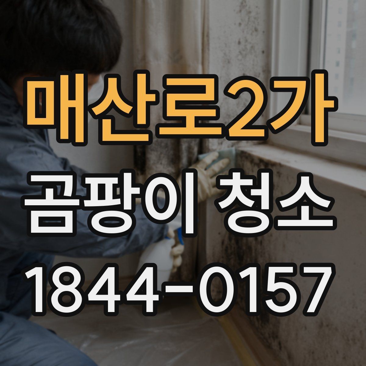 매산로2가 곰팡이 청소 실내 습도와 온도를 함께 맞추는 습관