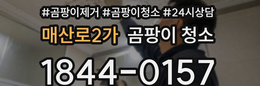 매산로2가 곰팡이 청소