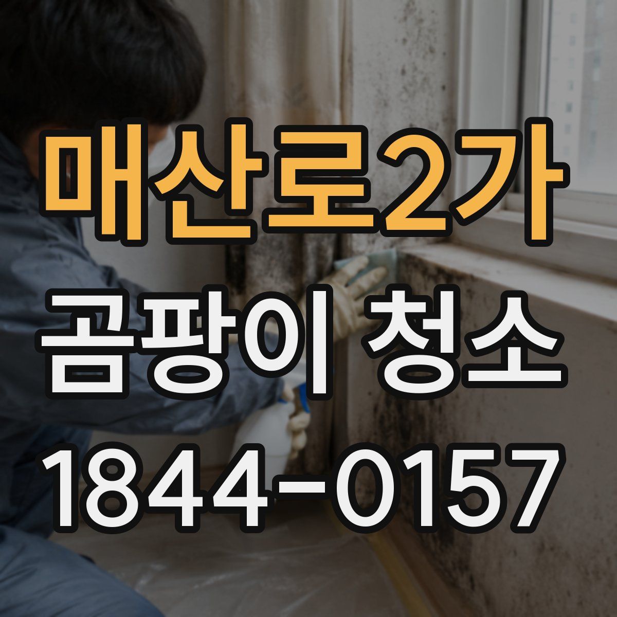 매산로2가 곰팡이 청소