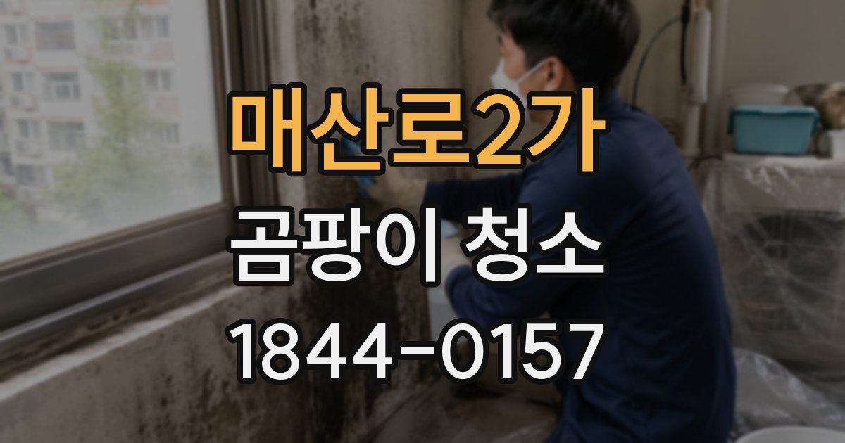 매산로2가 곰팡이 청소