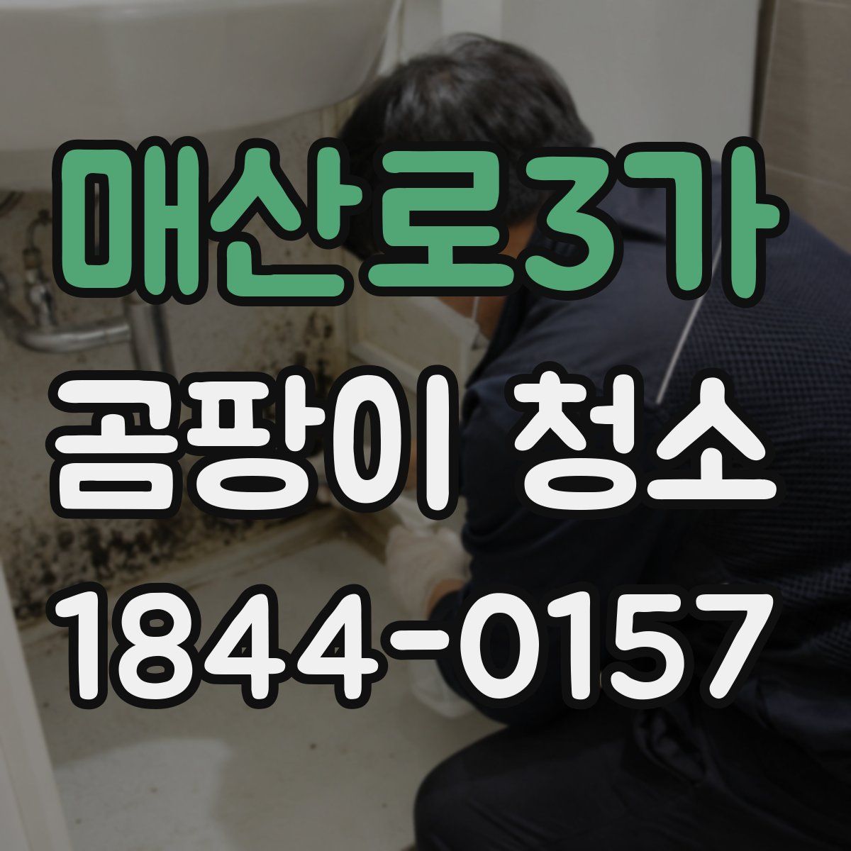 매산로3가 곰팡이 청소