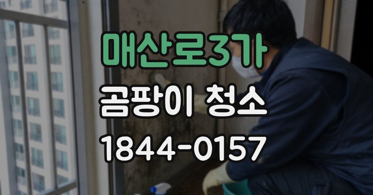 매산로3가 곰팡이 청소