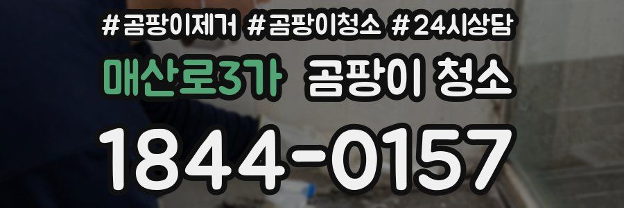 매산로3가 곰팡이 청소
