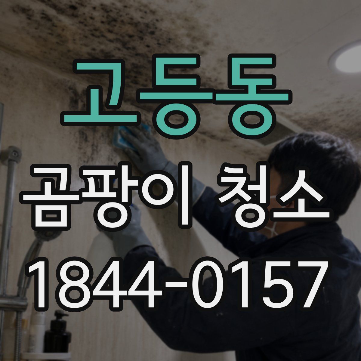 고등동 곰팡이 청소