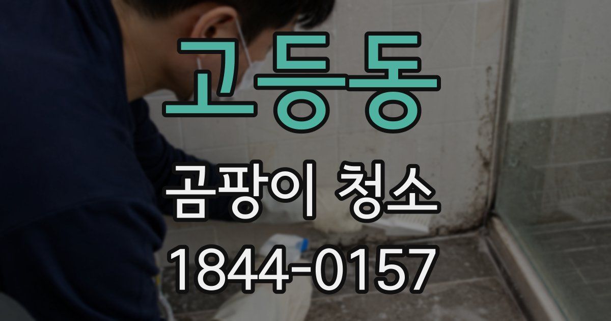 고등동 곰팡이 청소