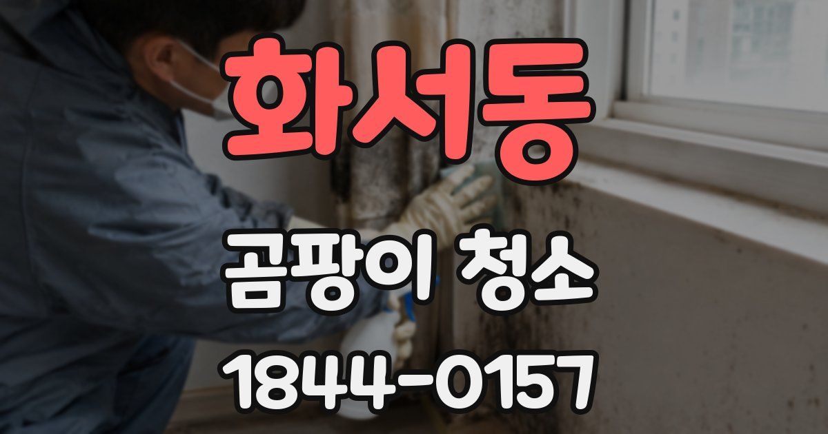 화서동 곰팡이 청소