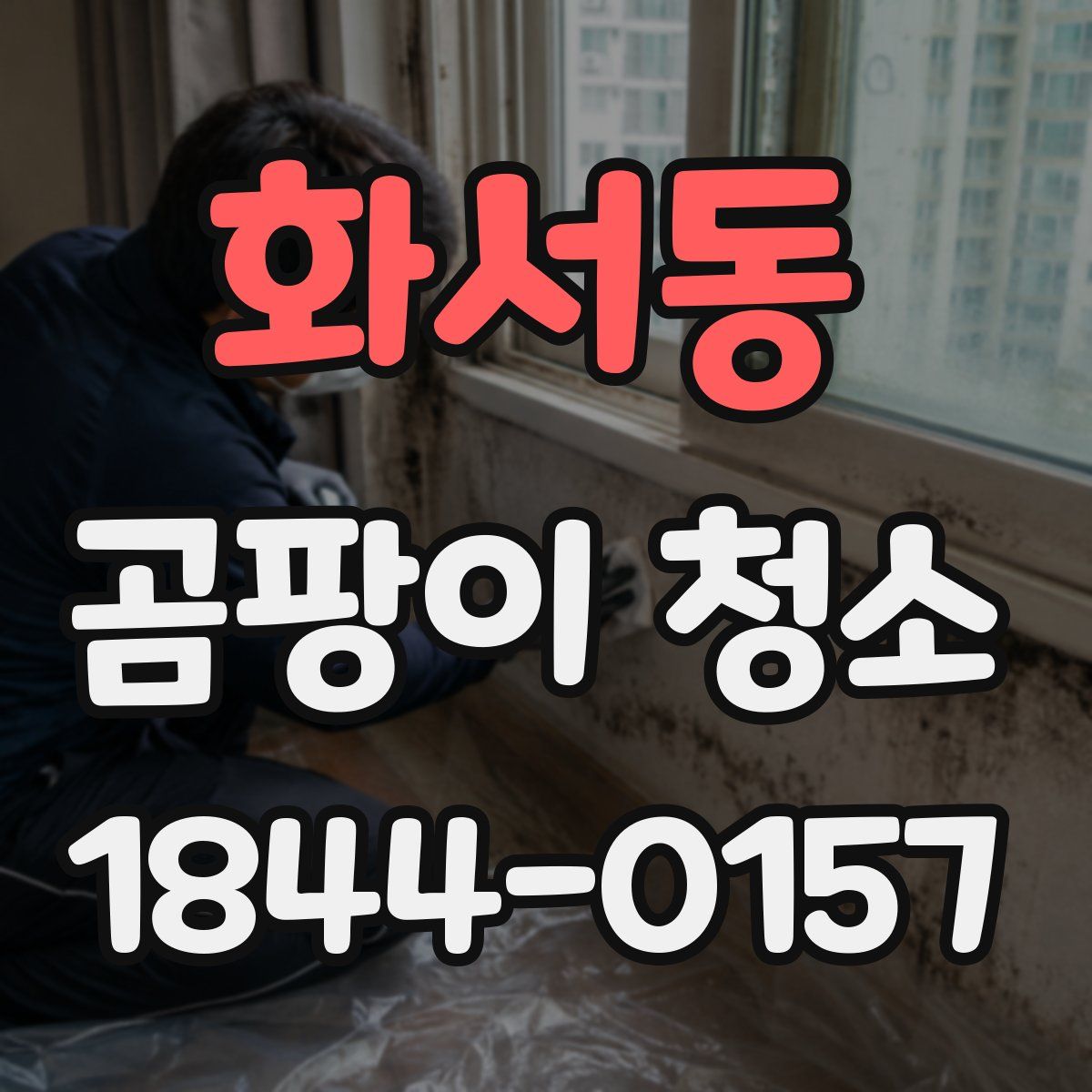 화서동 곰팡이 청소