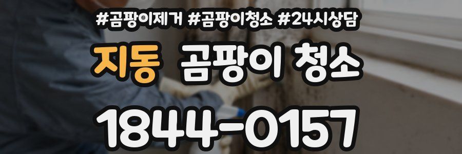 지동 곰팡이 청소