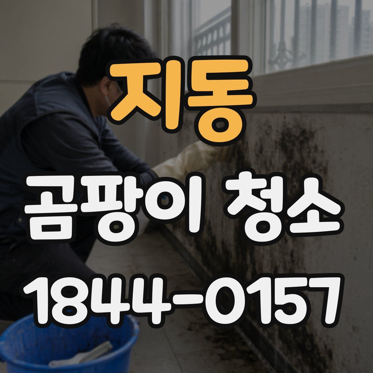 지동 곰팡이 청소