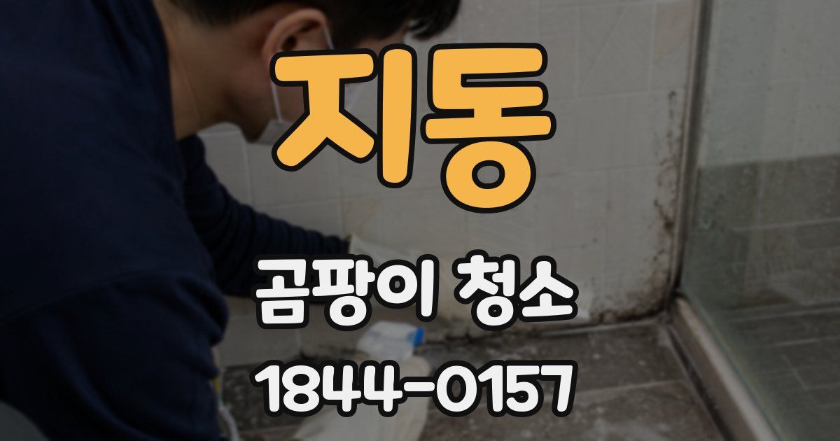 지동 곰팡이 청소