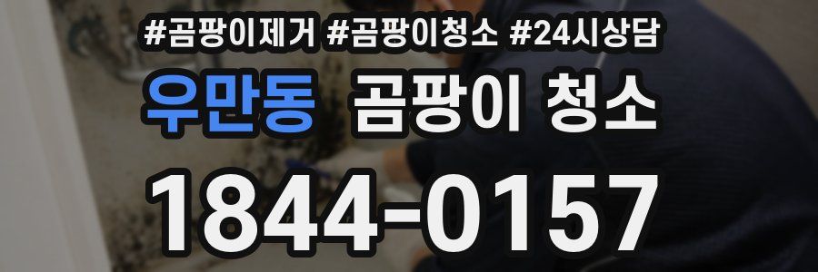 우만동 곰팡이 청소