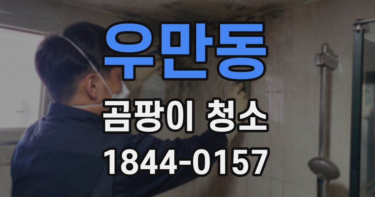 우만동 곰팡이 청소