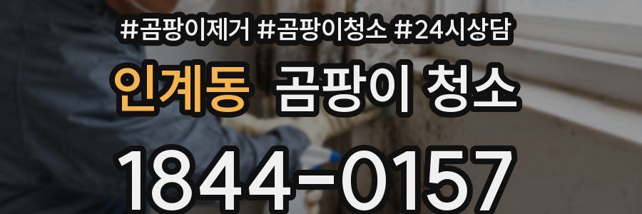 인계동 곰팡이 청소