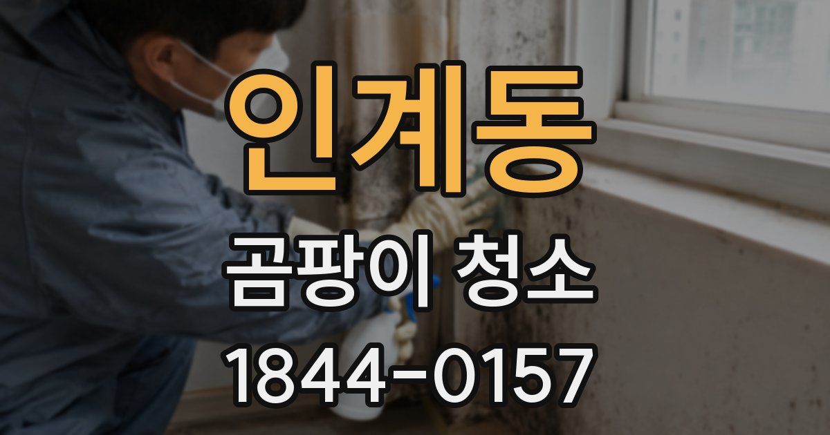 인계동 곰팡이 청소