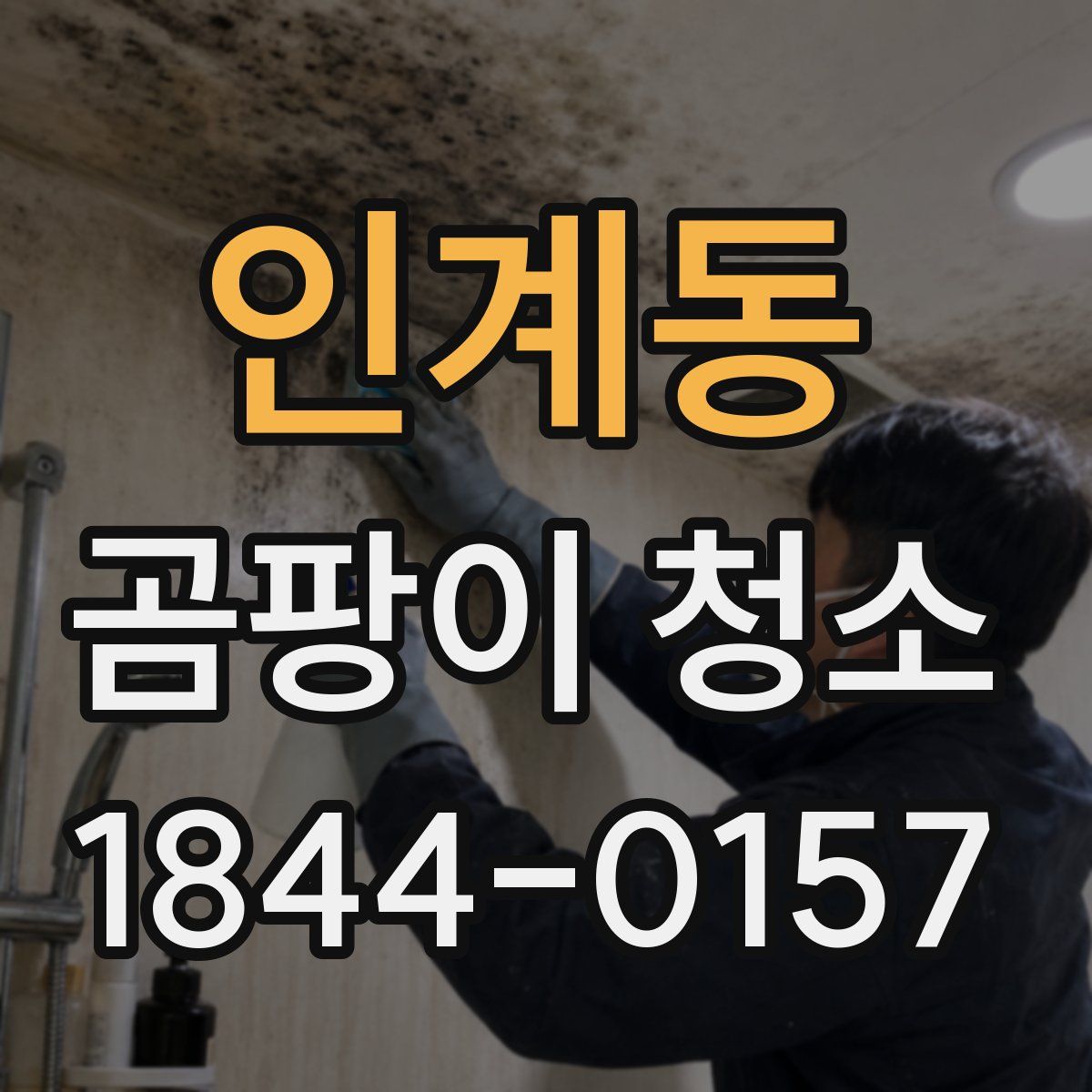 인계동 곰팡이 청소