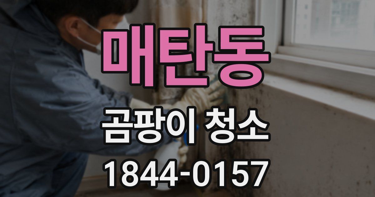 매탄동 곰팡이 청소