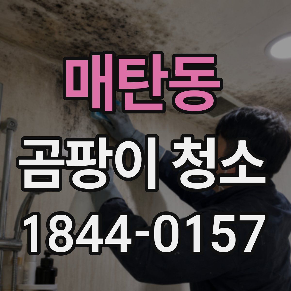 매탄동 곰팡이 청소