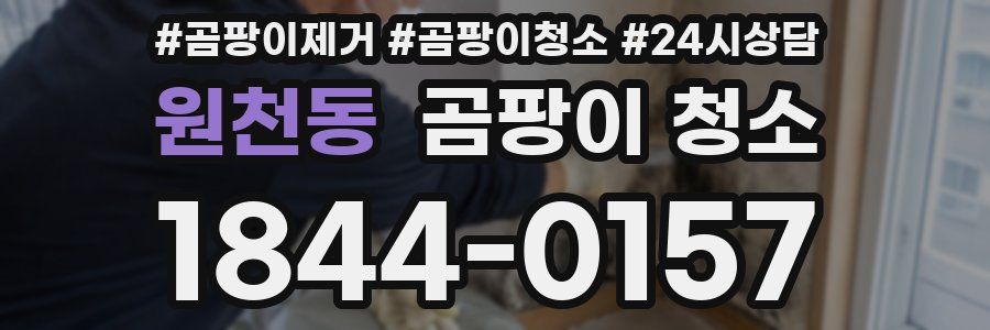 원천동 곰팡이 청소