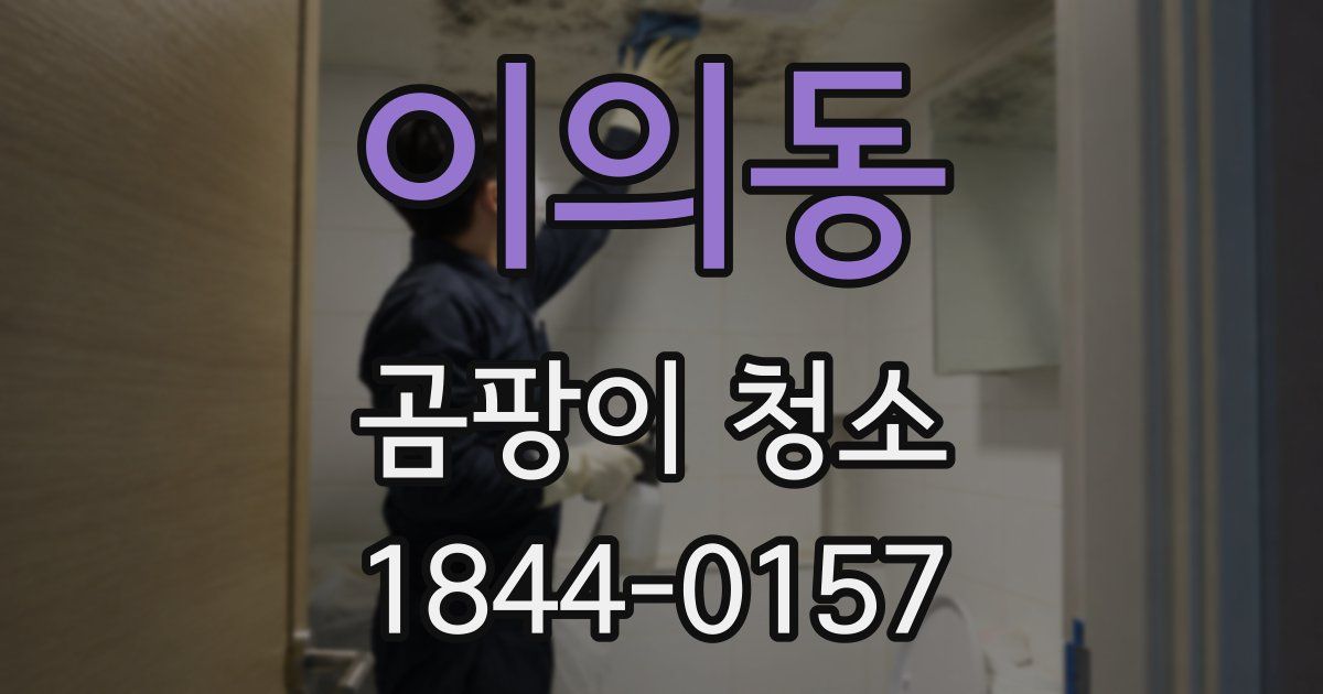 이의동 곰팡이 청소