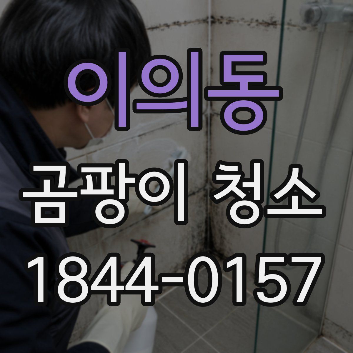 이의동 곰팡이 청소