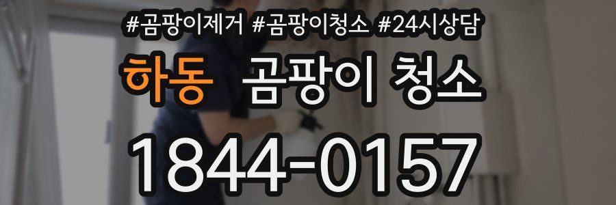 하동 곰팡이 청소