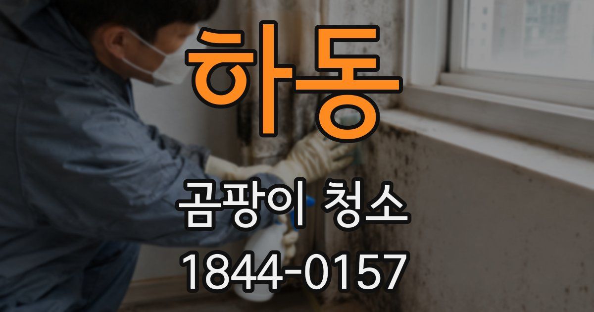 하동 곰팡이 청소