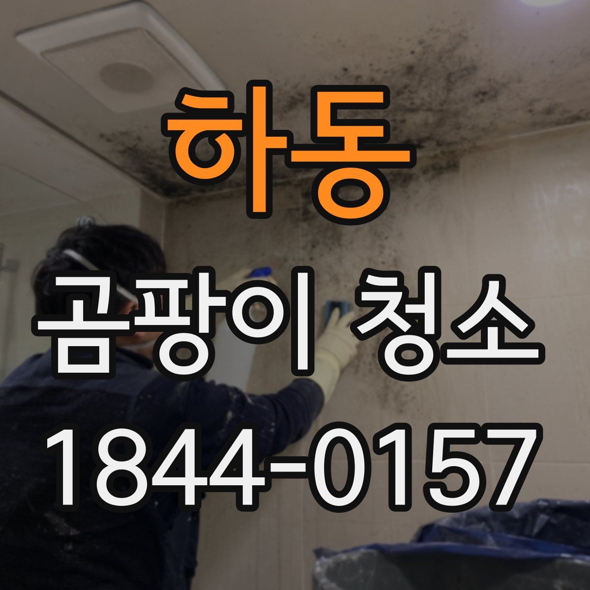 하동 곰팡이 청소